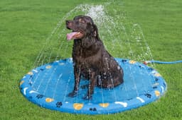 Giochi d'acqua per cani Tappetino refrigerante per cani Fetchin' Fun Bestway 2