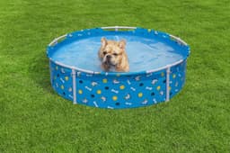 Giochi d'acqua per cani Piscina gioco per cani Fetchin' Fun Bestway 3