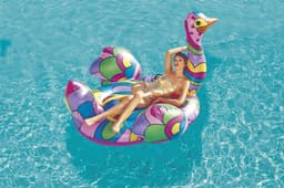 Gonfiabili mare per adulti Struzzo gonfiabile Bestway 2