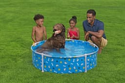 Giochi d'acqua per cani Piscina gioco per cani Fetchin' Fun Bestway 4