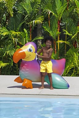 Giochi gonfiabili per bambini Cavalcabile Dandy Dodo per bambini Bestway 5