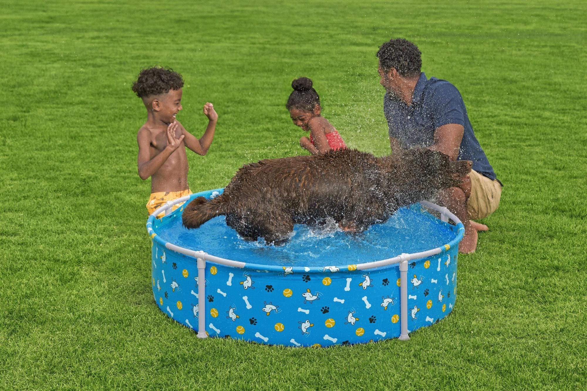 Giochi d'acqua per cani Piscina gioco per cani Fetchin' Fun Bestway 1