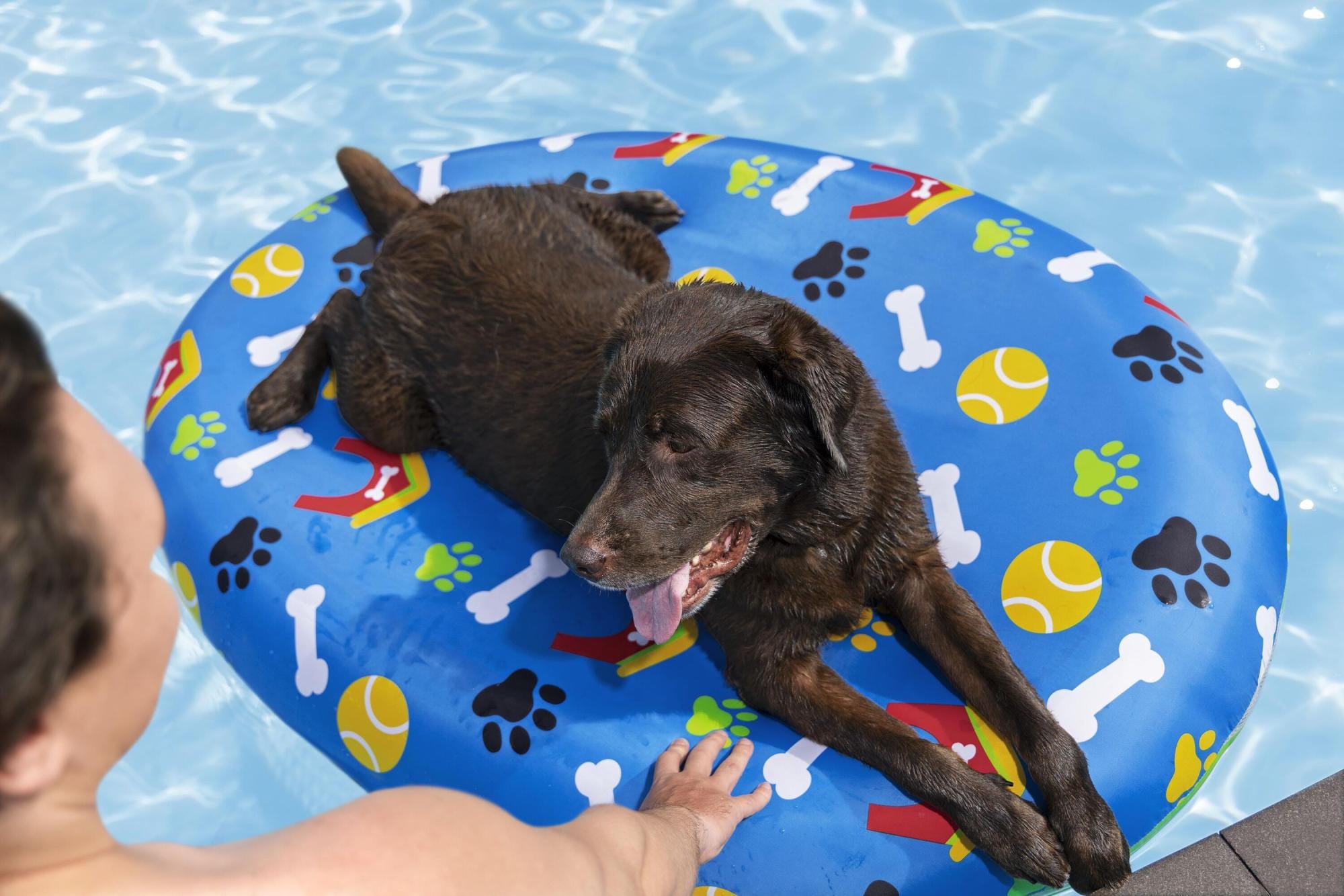 Giochi d'acqua per cani Materassino gonfiabile per cani Fetchin' Fun Bestway 3